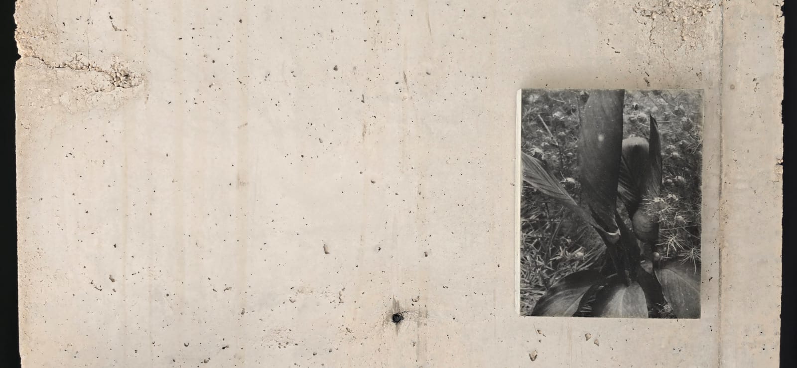 Brutalistische Architektur